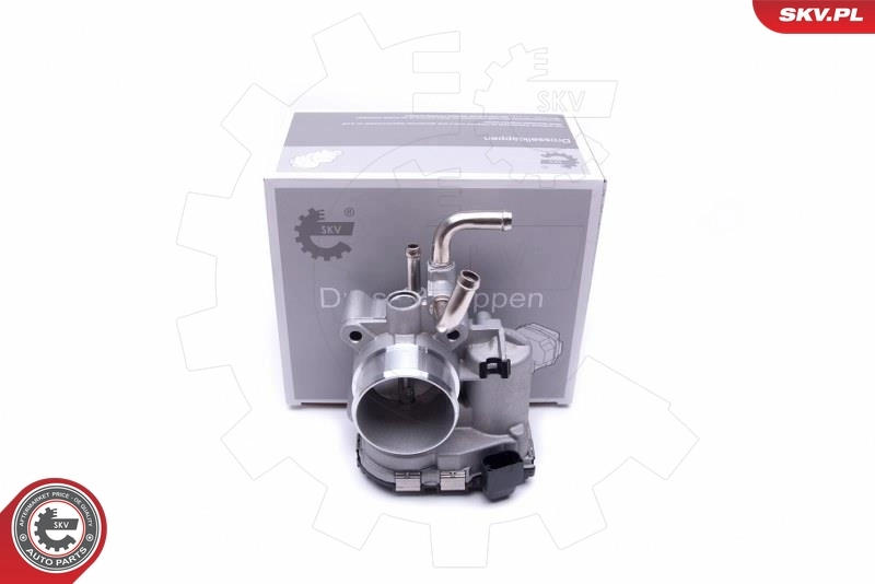 Throttle Body